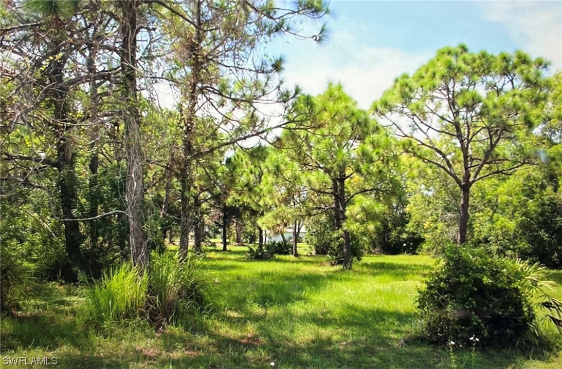 8757 Stringfellow Rd Property Photo 3