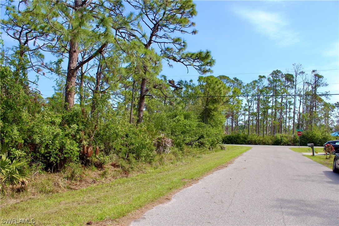 5237 Chaney Ter Property Photo 5