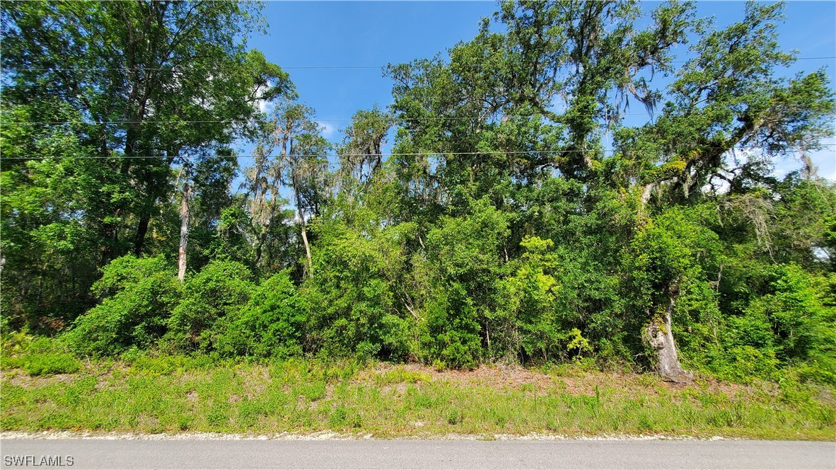 7491 Shasta St Property Photo 1