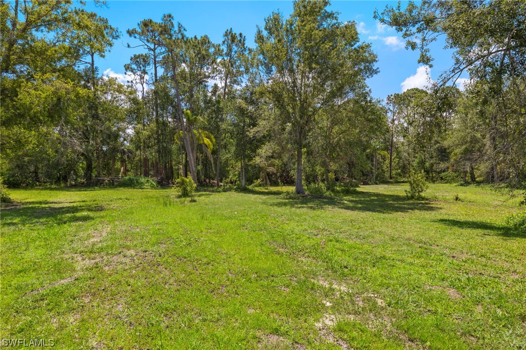 13100 Pinto Ln Property Photo 6