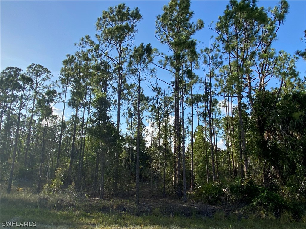 27166 Dubonet Dr Property Photo 2