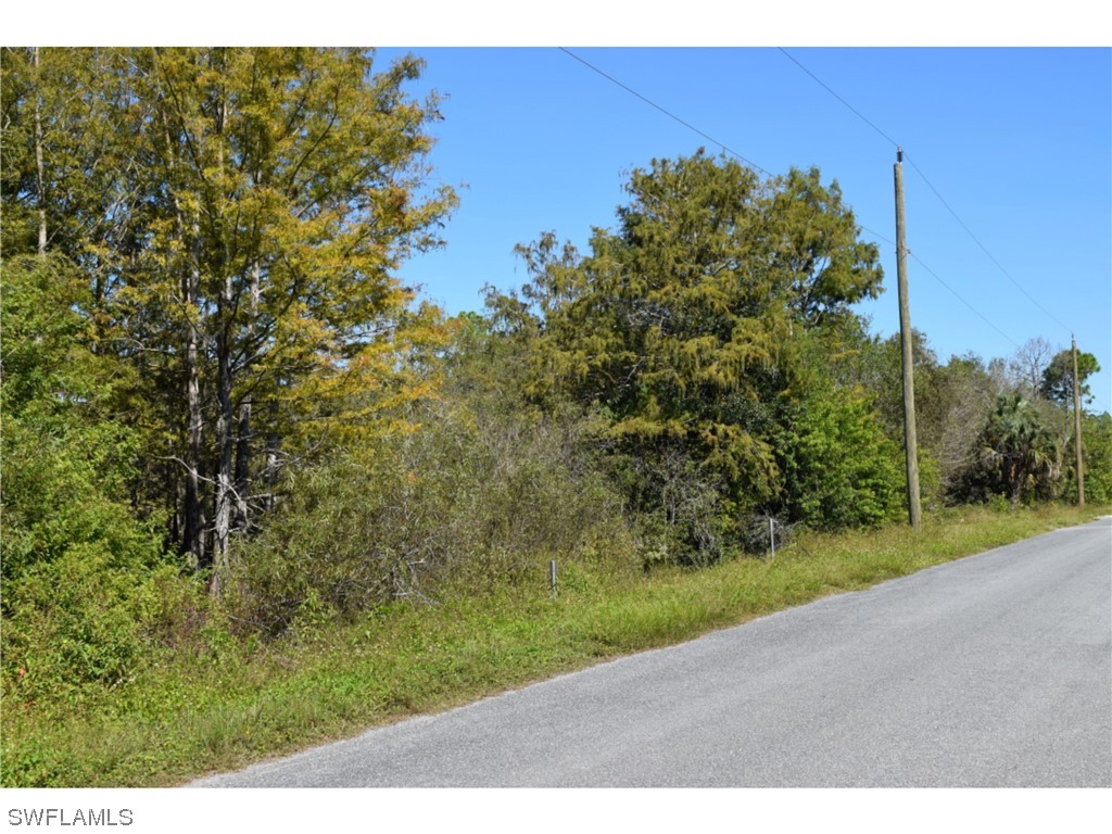 Jacks Branch Rd Property Photo 2