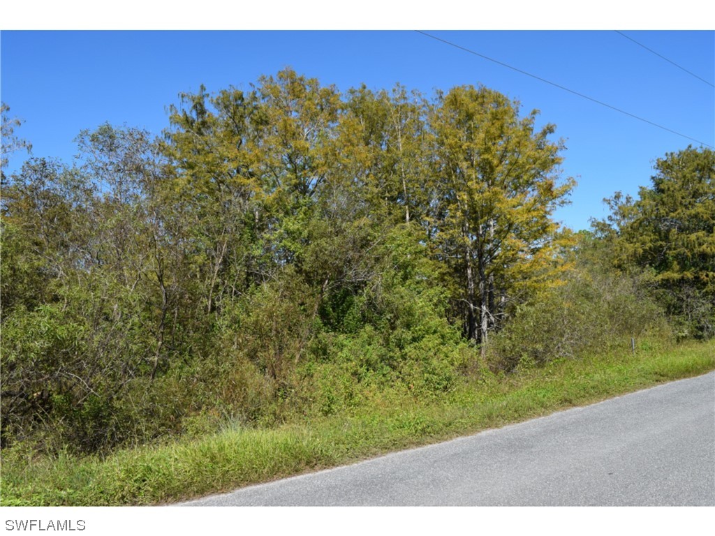 Jacks Branch Rd Property Photo 3