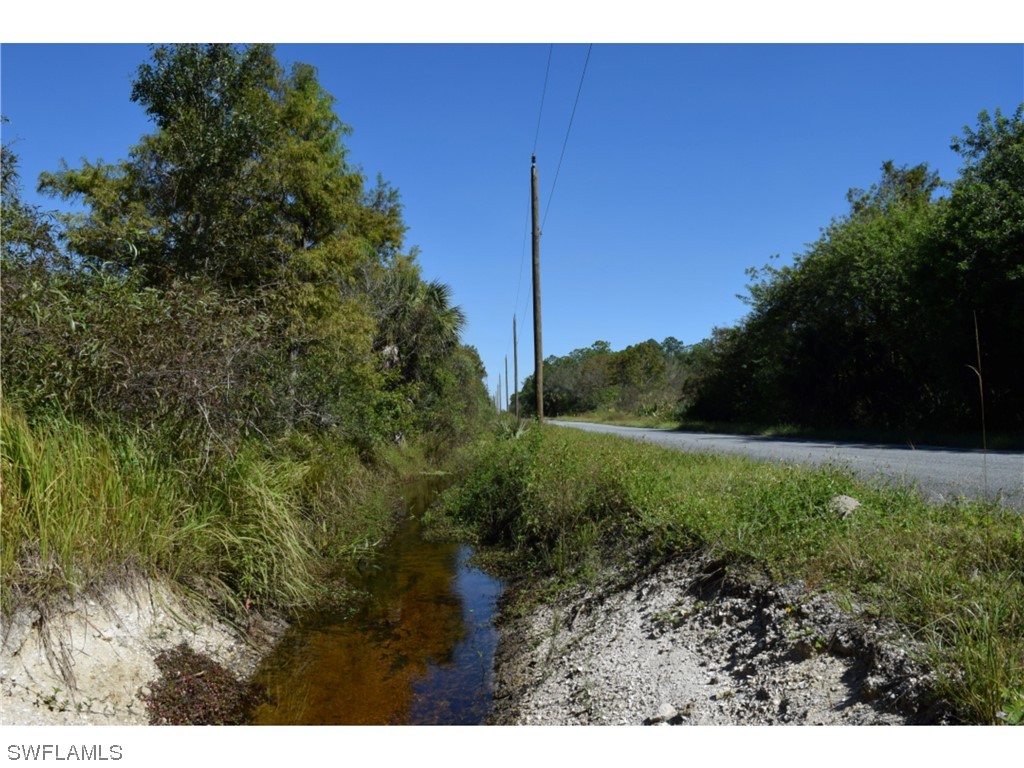 Jacks Branch Rd Property Photo 4