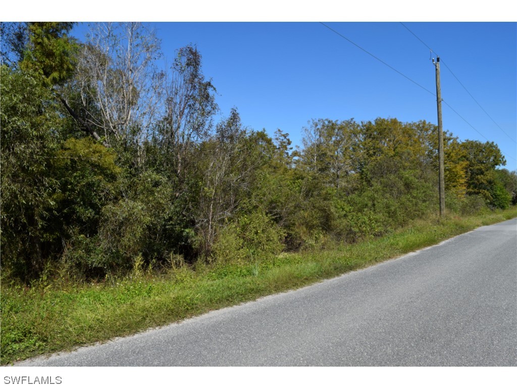 Jacks Branch Rd Property Photo 5