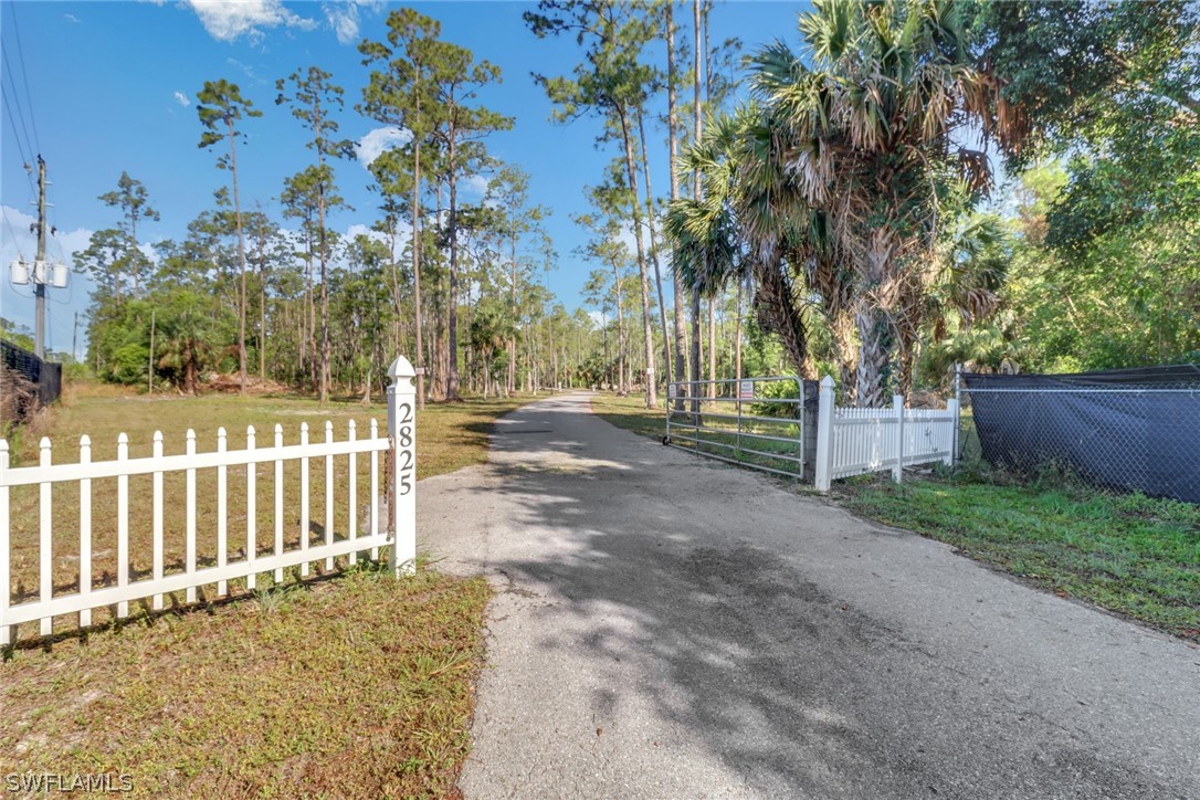 2825 Jenkins Way Property Photo 4