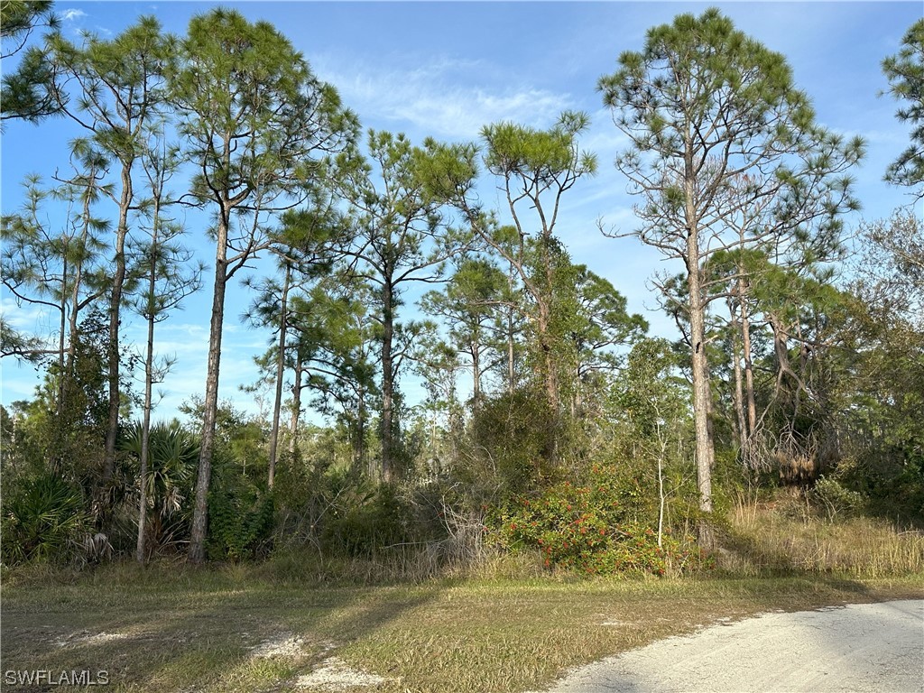 12135 Ludden Ct Property Photo 8
