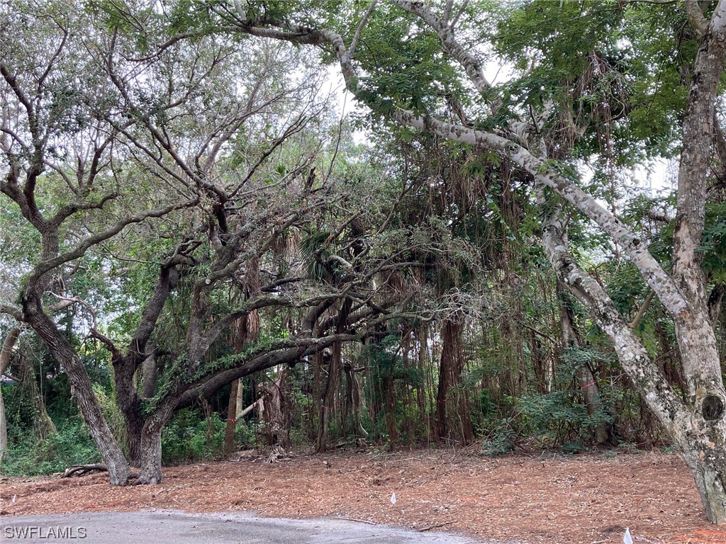 379 Morning Glory Ln Property Photo 1