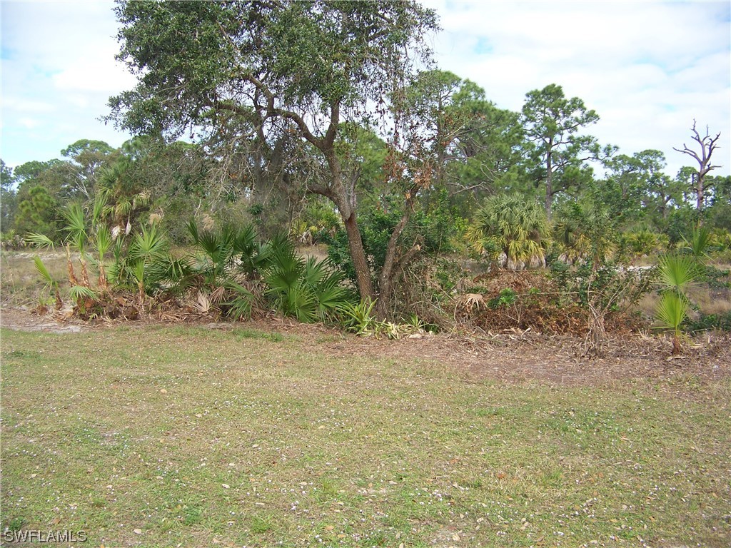 15550 Burnt Store Rd 51 Property Photo 6