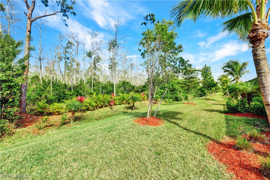 17130 Galway Run Ct Property Photo 30