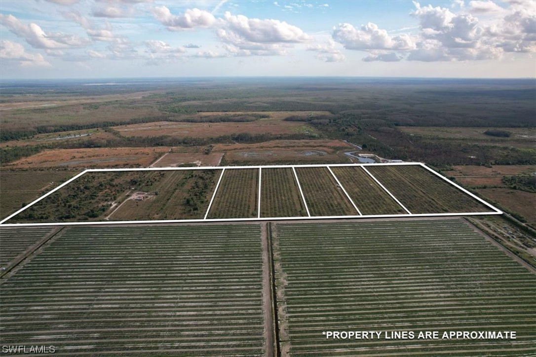 21991 Carter Rd Property Photo 5