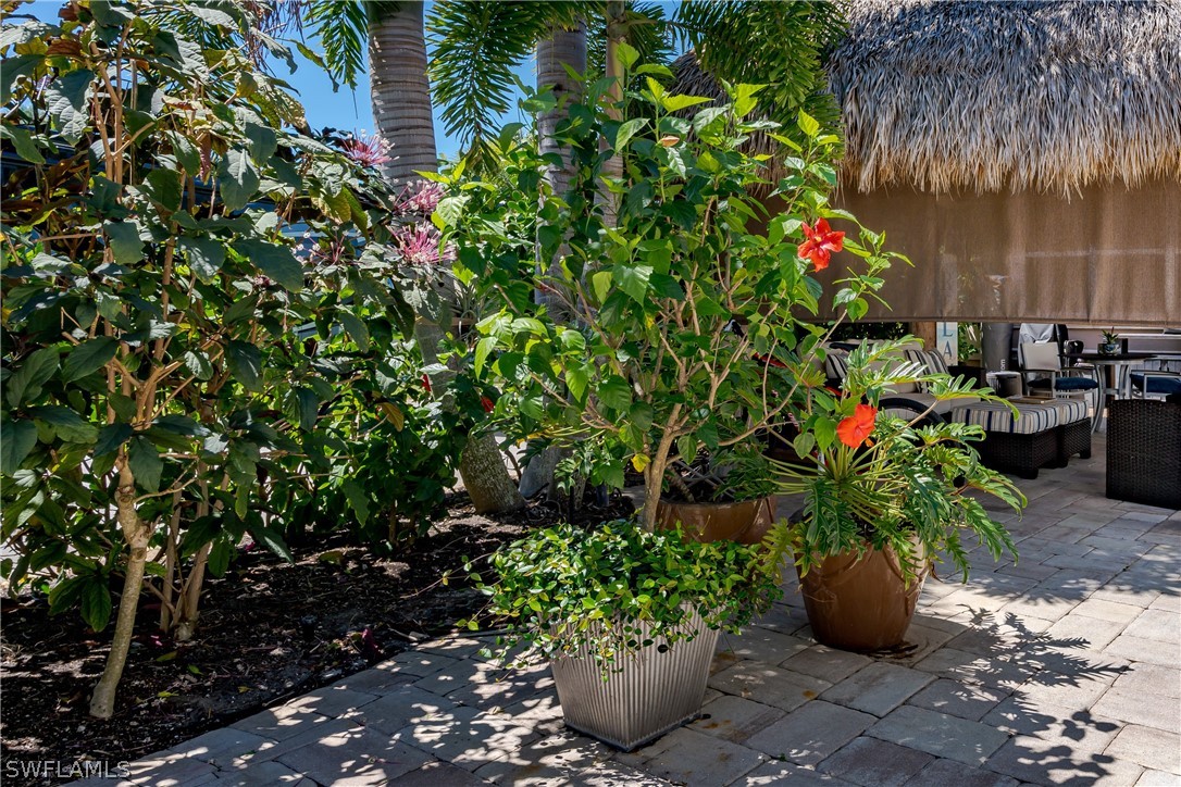 13403 Snook Cir Property Photo 7