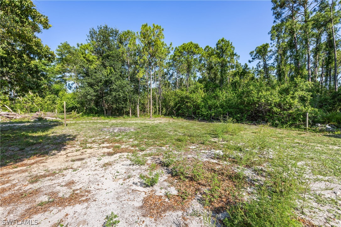 25336 Papillion Dr Property Photo 47
