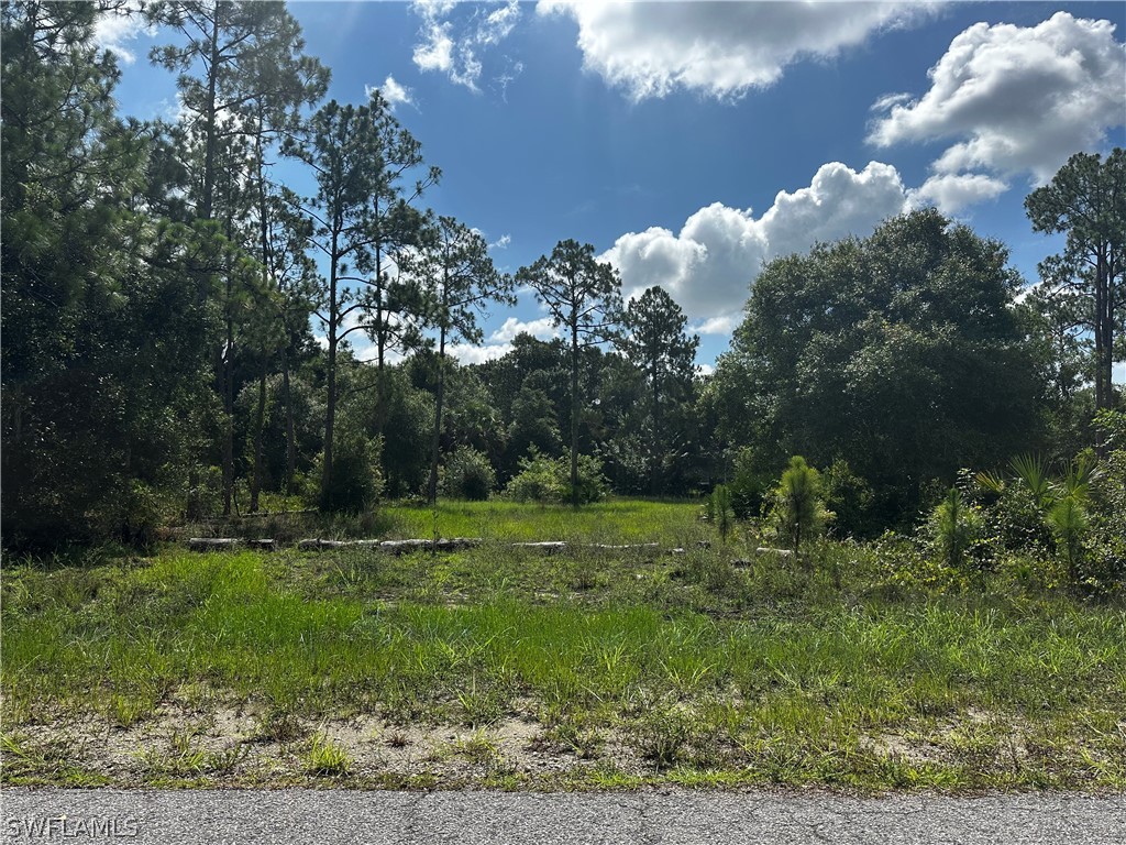 1008 Louis AVE Property Photo 1