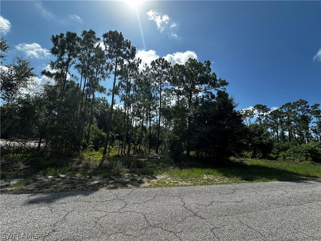 1010 Louis AVE Property Photo 1