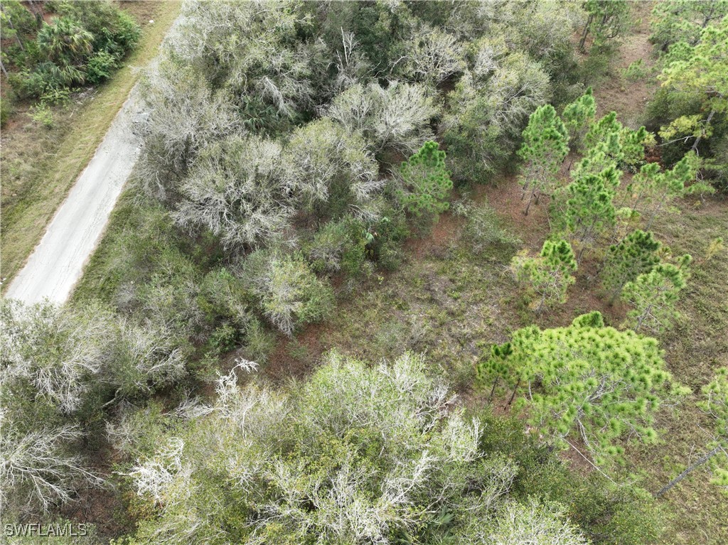 1307 Leroy Ave Property Photo 3
