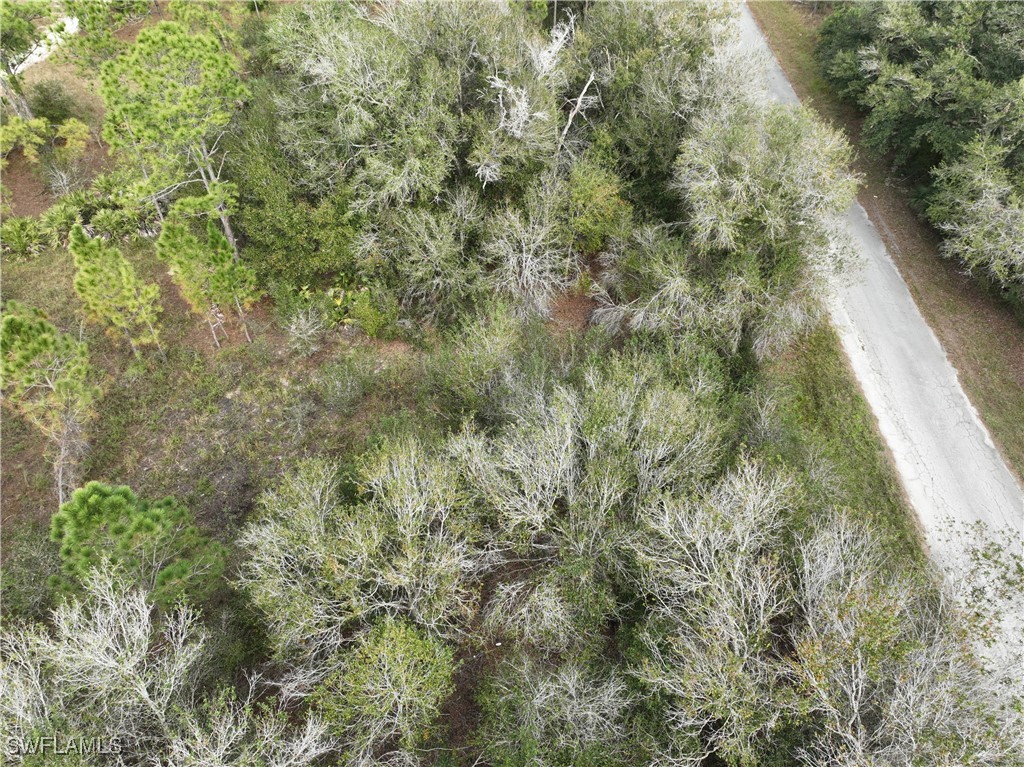 1307 Leroy Ave Property Photo 4
