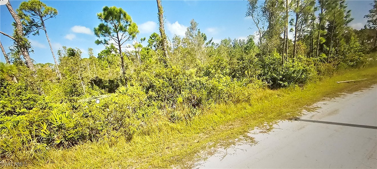 12147 Platano Dr Property Photo 3