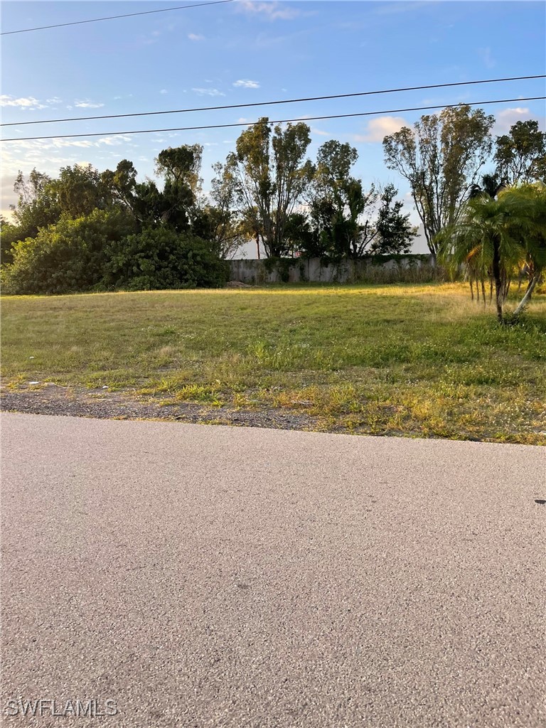 1734 Coral Point Dr Property Photo 2
