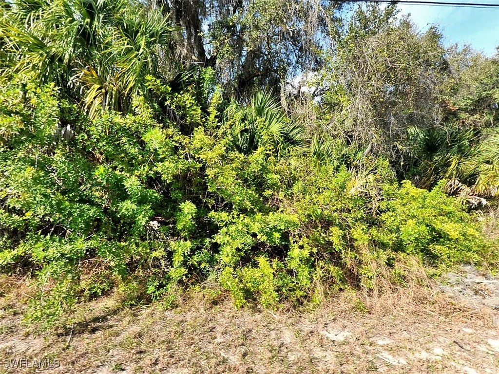 Pluto Ave Property Photo 1