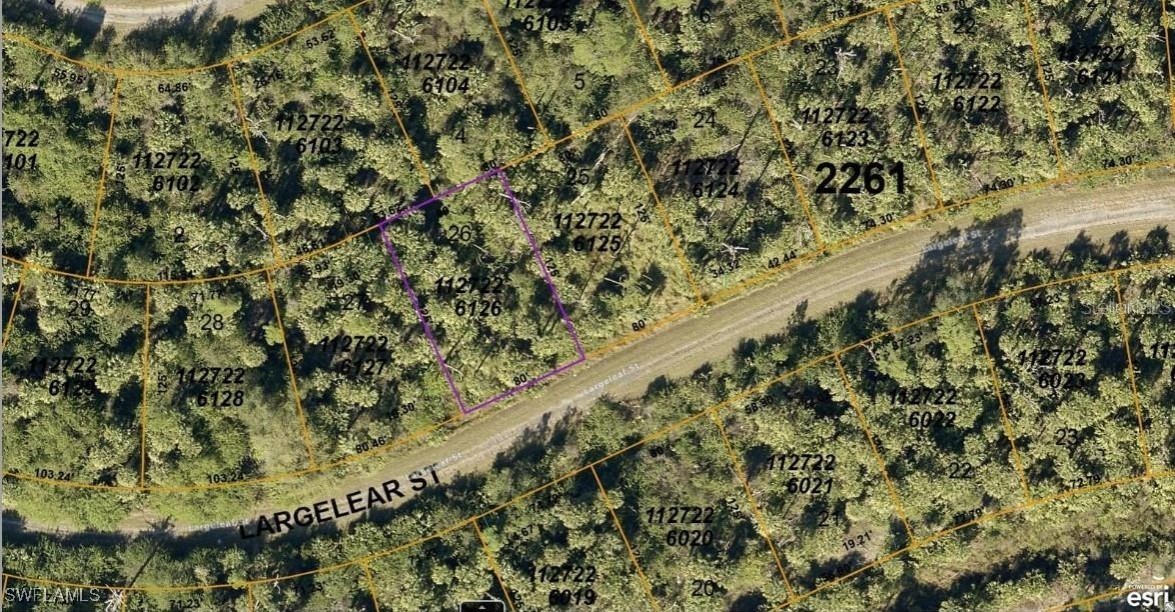 1127226126 Largeleaf St Property Photo 1