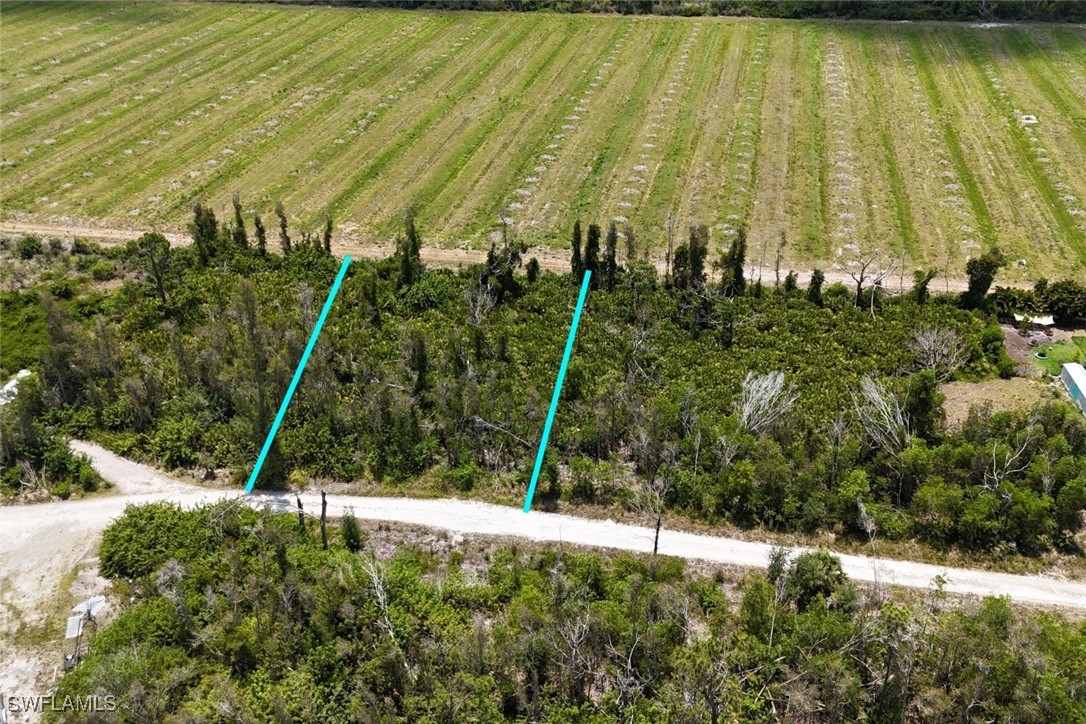 6215 Cedelia Rd Property Photo 1