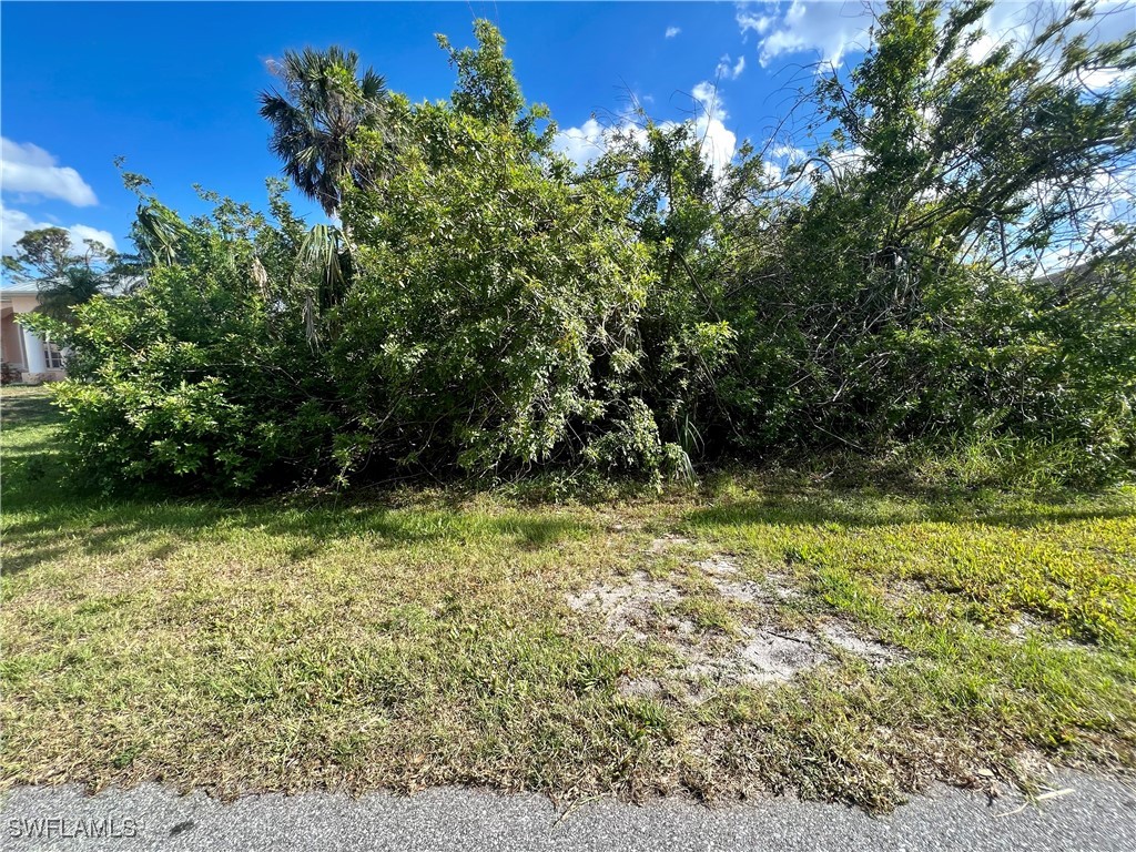 12393 Koenig Ln Property Photo 1