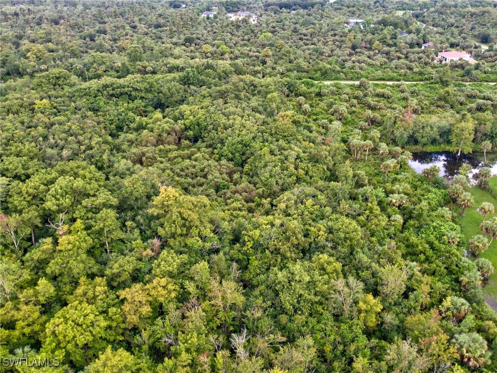 Shady Hollow Blvd E Property Photo 5