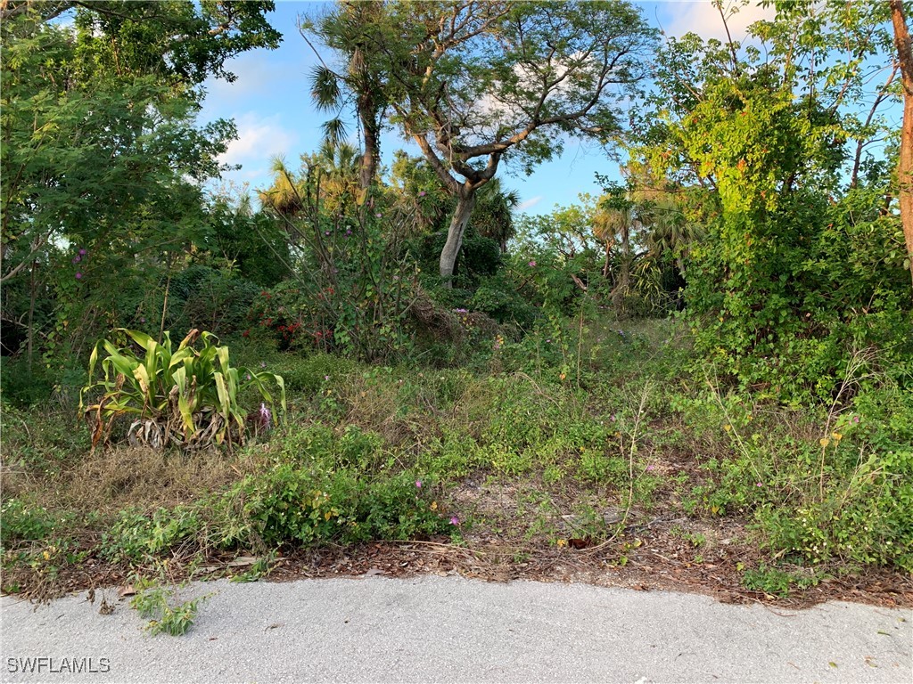 2090 Wild Lime Dr Property Photo 2
