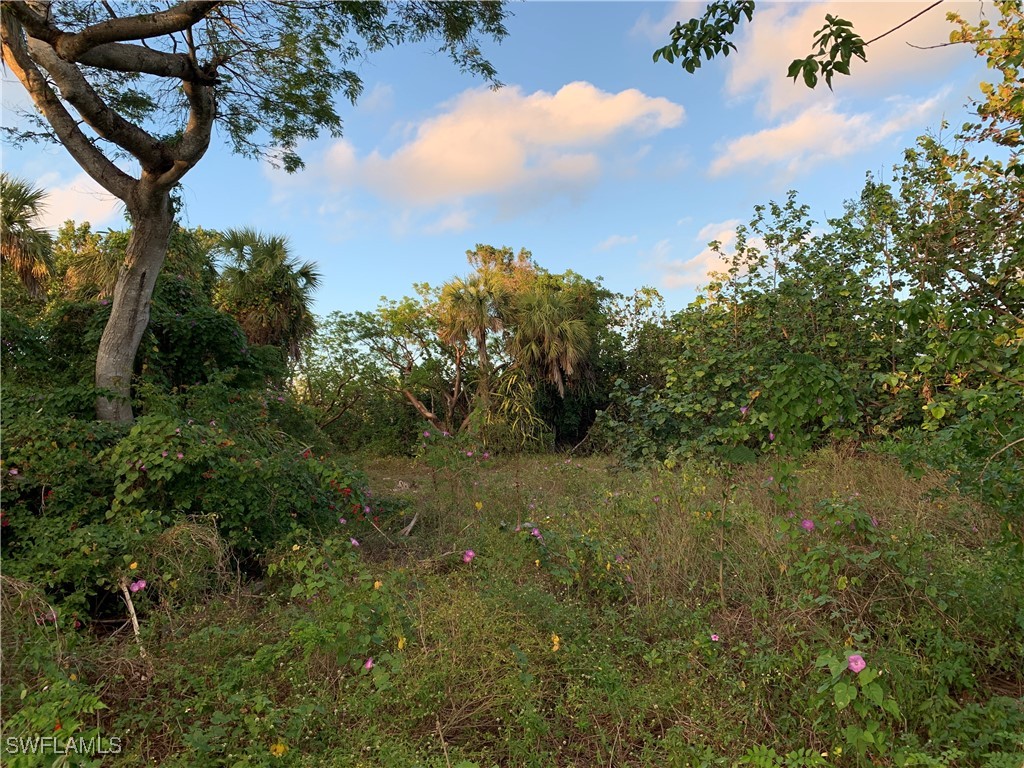 2090 Wild Lime Dr Property Photo 4