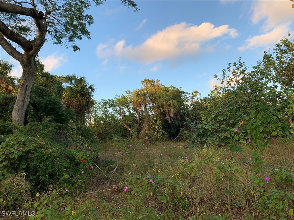 2090 Wild Lime Dr Property Photo 5