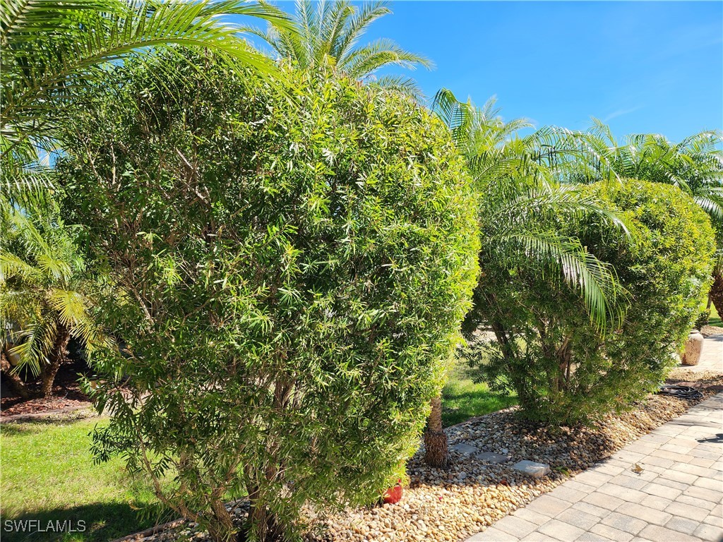 10317 Prairie Iris Trl Property Photo 25