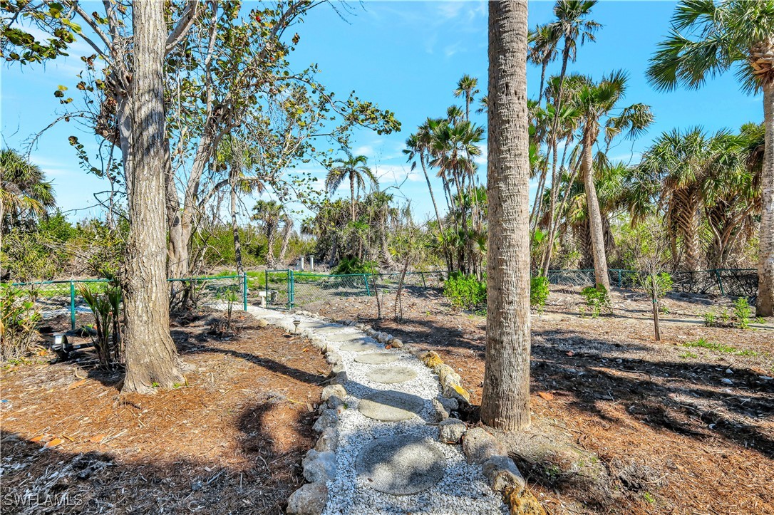 3000 Turtle Gait Ln Property Photo 43