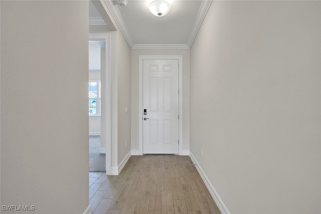 28028 Sanibel Sands St Property Photo 19