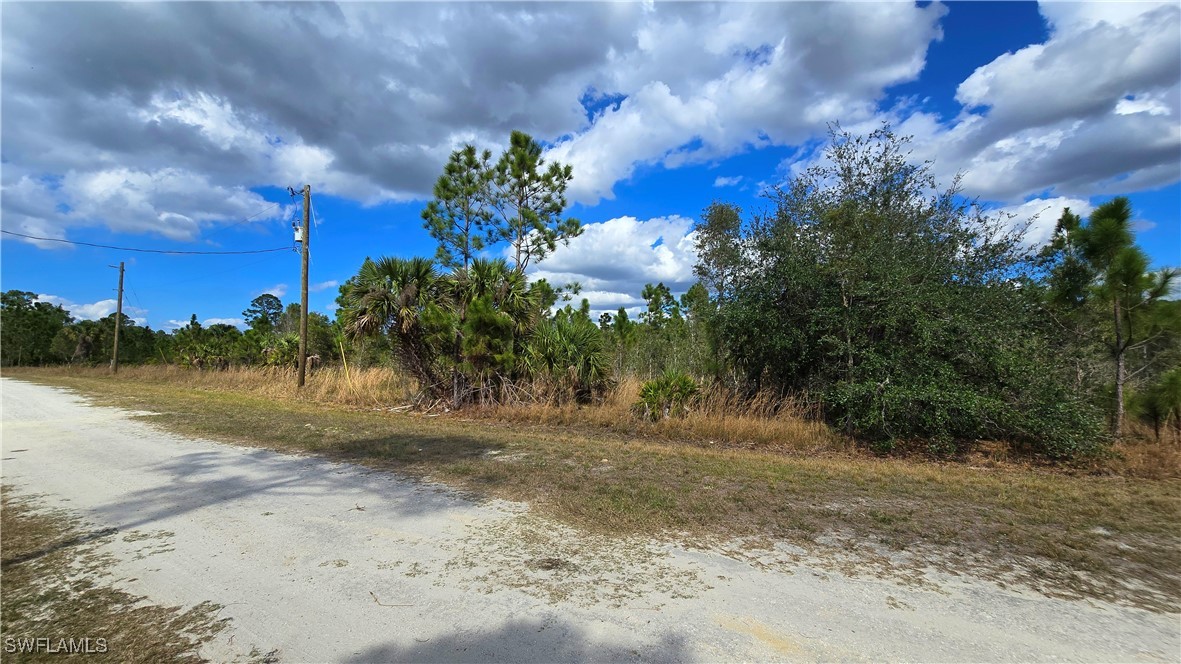 13516 Carousel Dr Property Photo 3