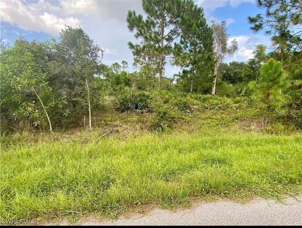 11258 3rd Ave Property Photo 1
