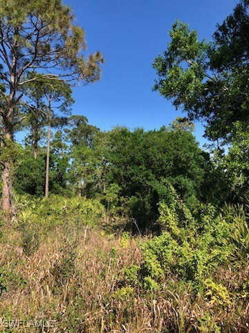 769 Horse Club Ave Property Photo
