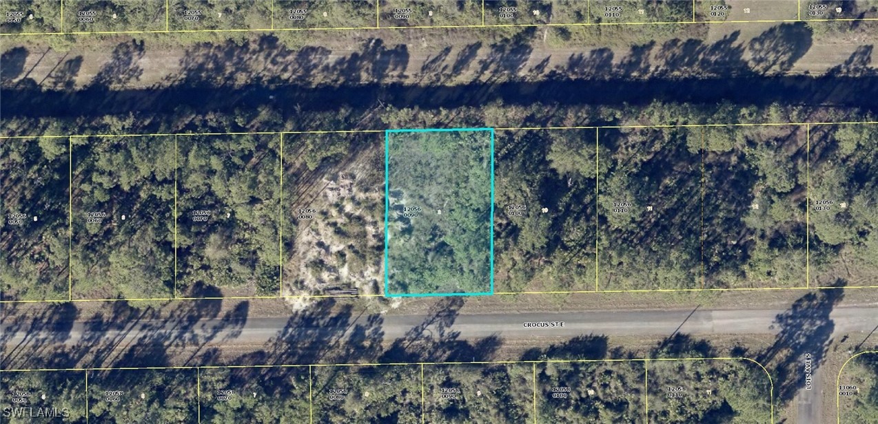 1123 Crocus ST Property Photo 1