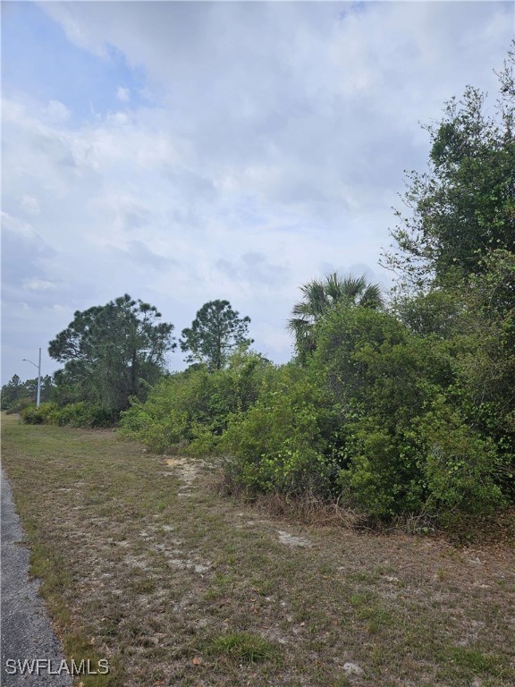1711 Clayton Ave Property Photo 5