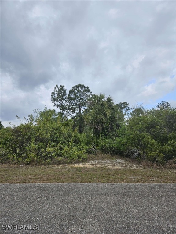 1711 Clayton Ave Property Photo 6