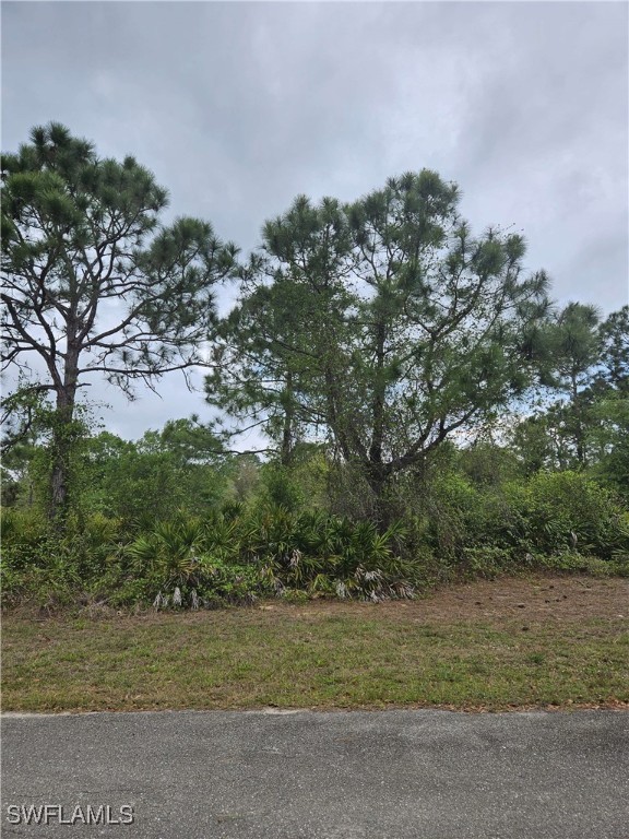 1711 Clayton Ave Property Photo 7