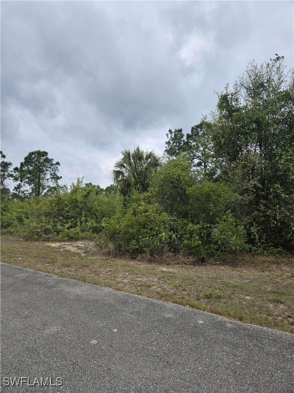 1711 Clayton Ave Property Photo 8