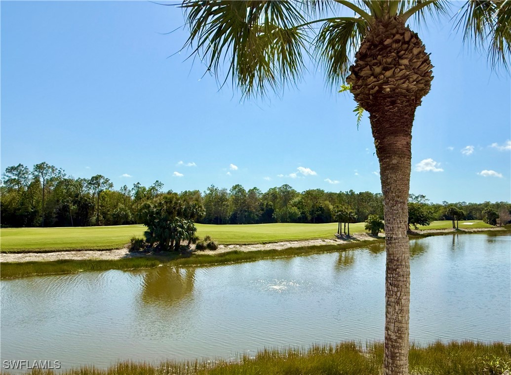 8520 Naples Heritage Dr 923 Property Photo 21