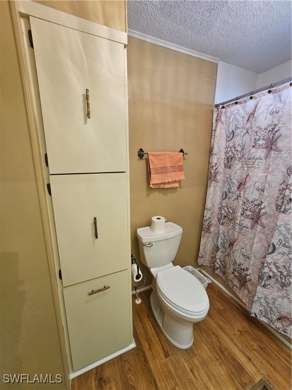 4 Elder St Property Photo 17