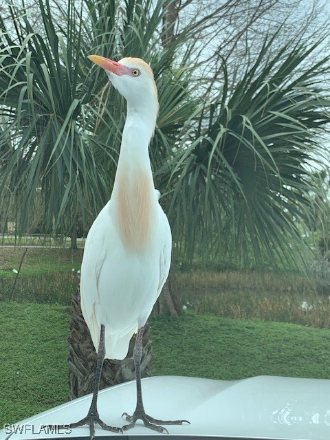 16201 Fairway Woods Dr 1307 Property Photo 47