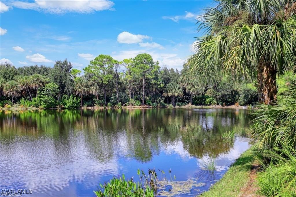 27080 Lake Harbor Ct 202 Property Photo 26