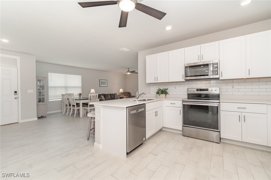 20684 Plumwood Loop Property Photo 11