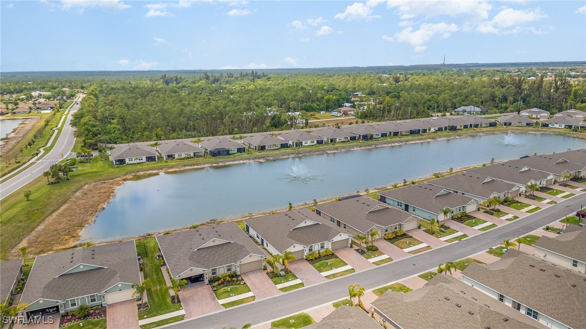 20684 Plumwood Loop Property Photo 29