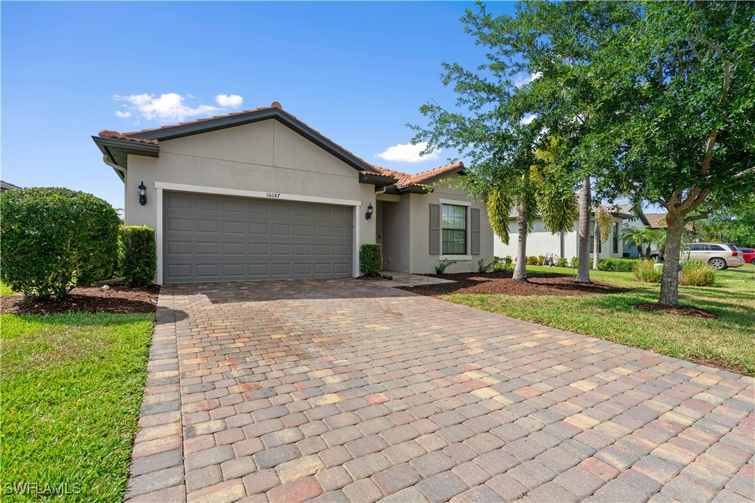 16087 Mistflower Dr Property Photo 6
