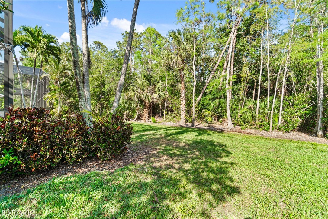 2338 Butterfly Palm Dr Property Photo 40